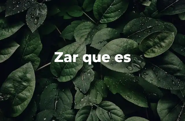 Zar que es