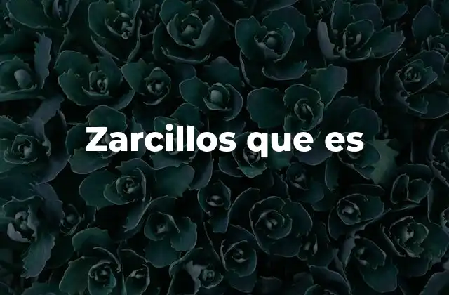 Zarcillos que es