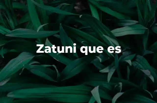 Zatuni que es