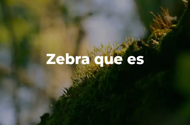 Características físicas y comportamiento de las zebras
