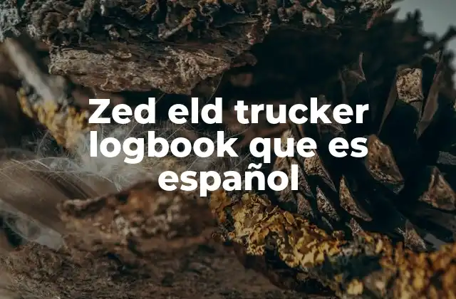 Zed Eld Trucker Logbook que es Español