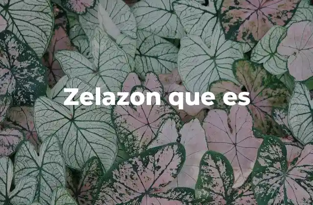 Zelazon que es