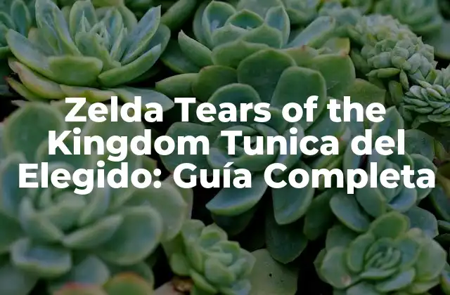 ¿Qué es la Tunica del Elegido en Zelda Tears of the Kingdom?