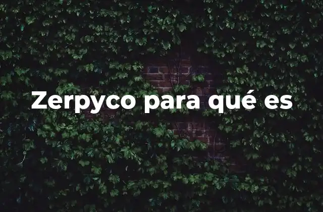 Zerpyco para Qué es 2 Cómo se integra Zerpyco en el flujo de trabajo empresarial