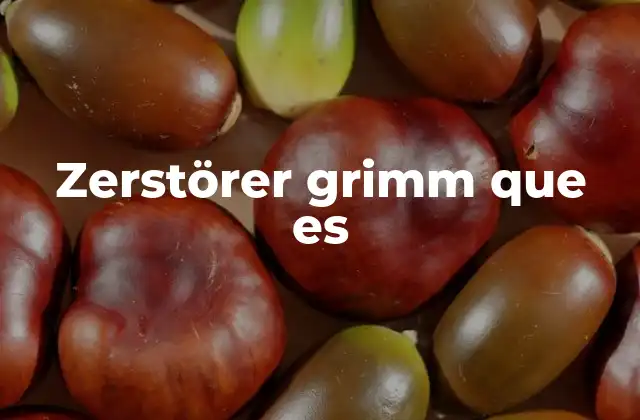 Zerstörer Grimm que es