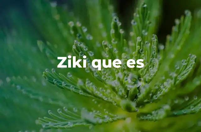 Ziki que es