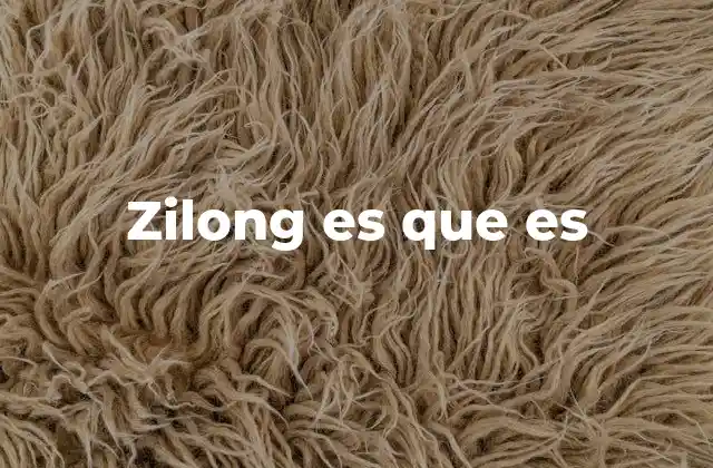 Zilong es que es