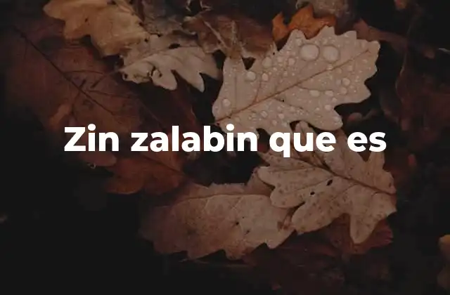 Zin Zalabin que es
