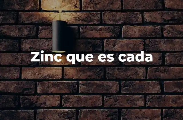Zinc que es Cada