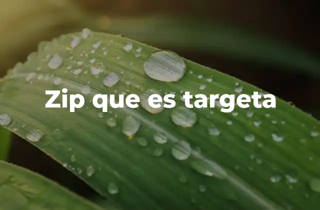 Zip que es Targeta