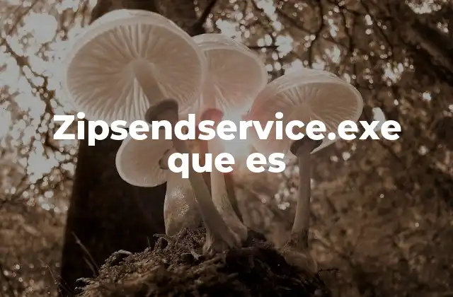 Funciones ocultas del proceso zipsendservice.exe