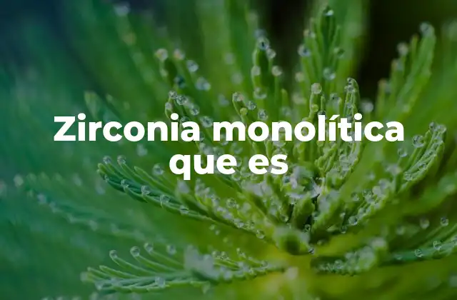 Características y propiedades de la zirconia monolítica