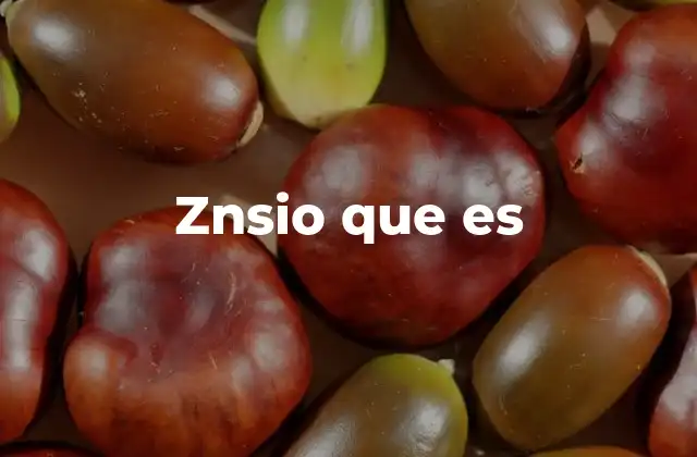 Znsio que es