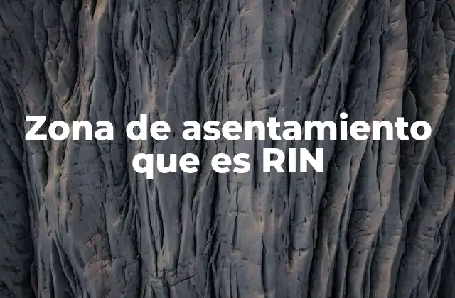 Zona de Asentamiento que es Rin