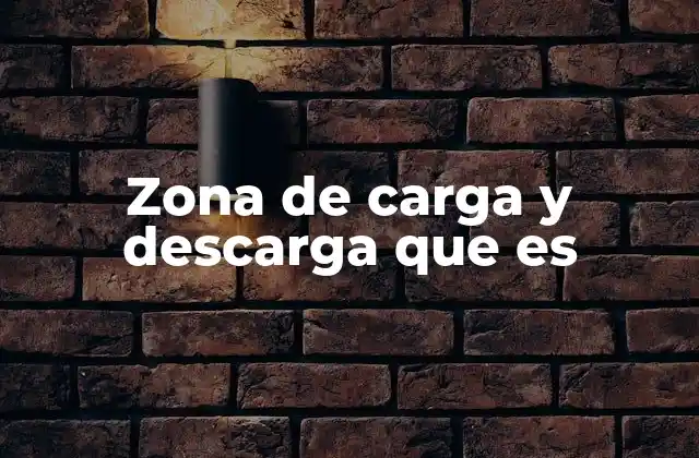 Zona de Carga y Descarga que es