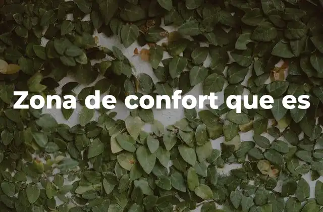 Zona de Confort que es