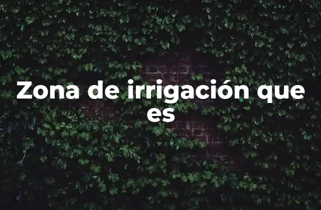 Zona de Irrigación que es