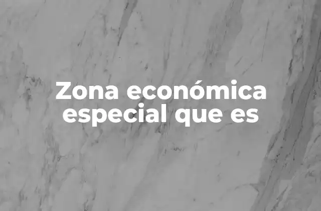 Zona Económica Especial que es
