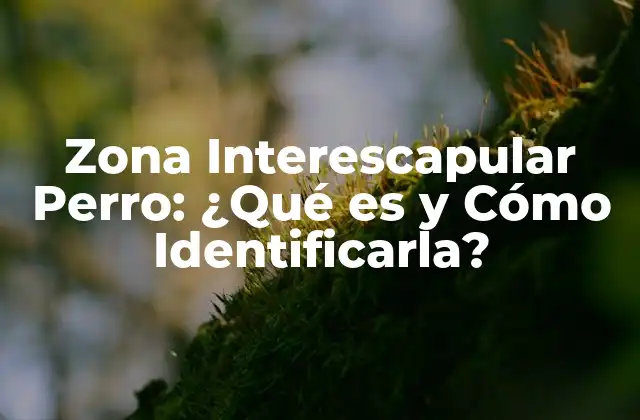 Zona Interescapular Perro: ¿qué es y Cómo Identificarla?