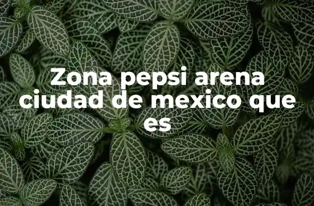 La importancia de la Zona Pepsi Arena en el desarrollo del deporte en México