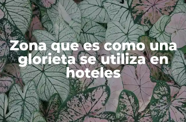 Zona que es como una Glorieta Se Utiliza en Hoteles