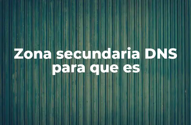 Zona Secundaria Dns para que es