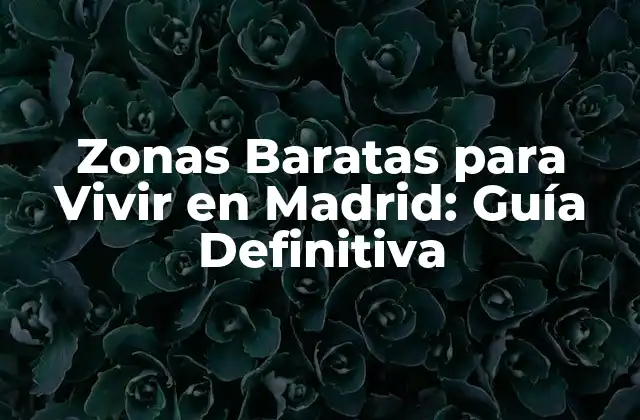 Zonas Baratas para Vivir en Madrid: Guía Definitiva 2 Ventajas de Vivir en Zonas Baratas de Madrid