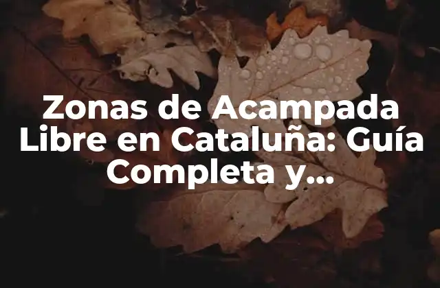 ¿Cuáles son los Requisitos para Acampar en Cataluña?