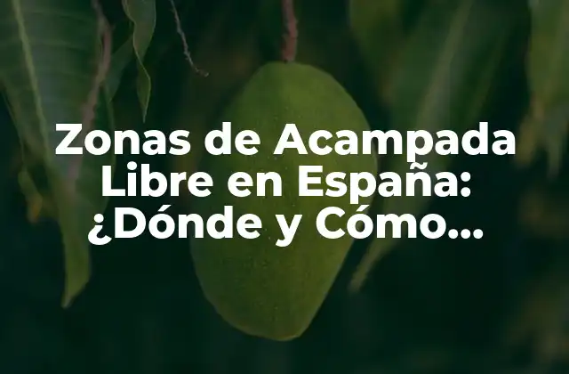 Zonas de Acampada Libre en España: ¿dónde y Cómo Acampar Gratis?