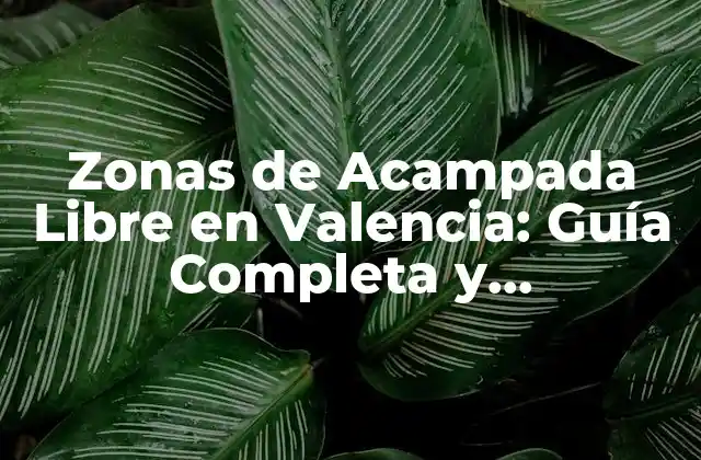 Zonas de Acampada Libre en Valencia: Guía Completa y Actualizada 2 ¿Cuáles son las Ventajas de Acampar en Valencia?