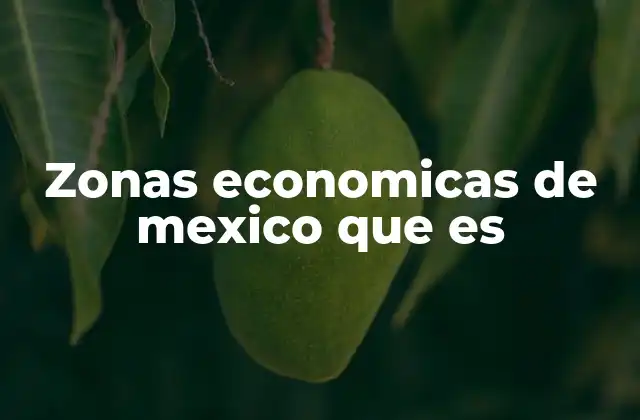Zonas Economicas de Mexico que es