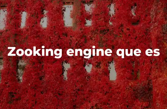 Zooking Engine que es