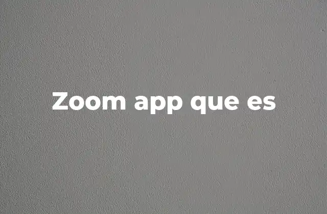 Zoom App que es