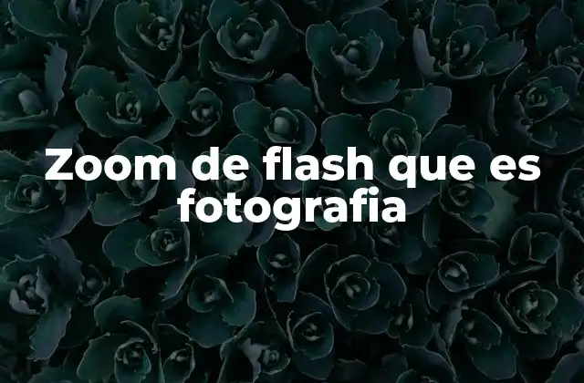 Zoom de Flash que es Fotografia