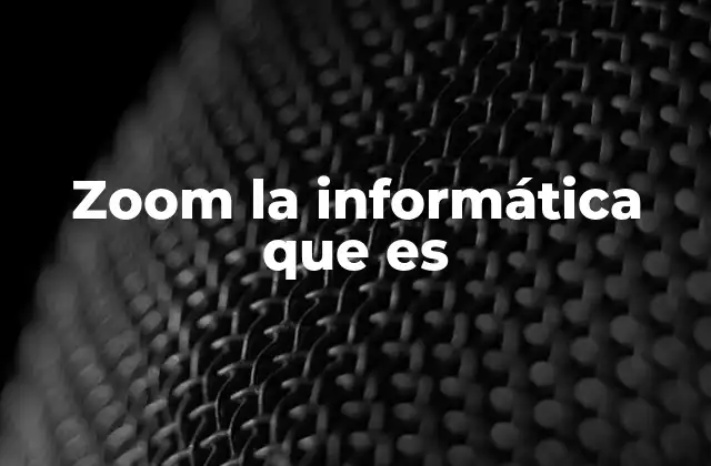 Zoom la Informática que es