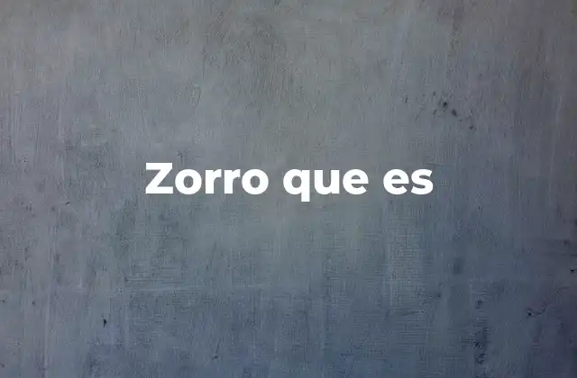 Zorro que es