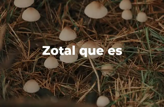 Zotal que es