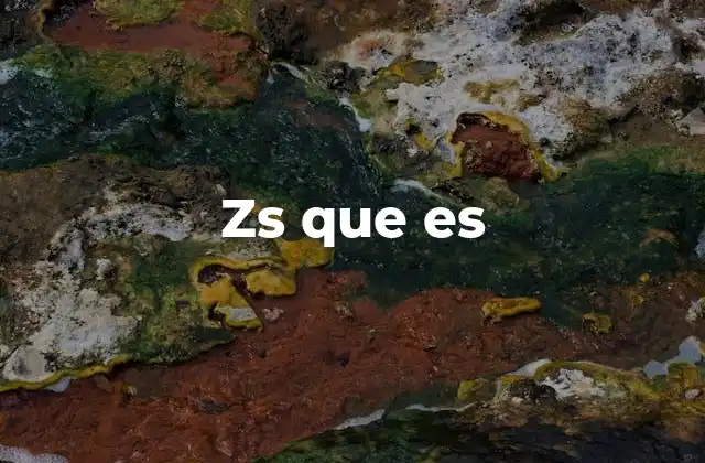 Zs que es