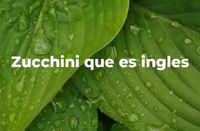 Zucchini que es Ingles