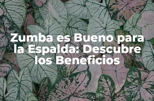 Zumba es Bueno para la Espalda: Descubre los Beneficios
