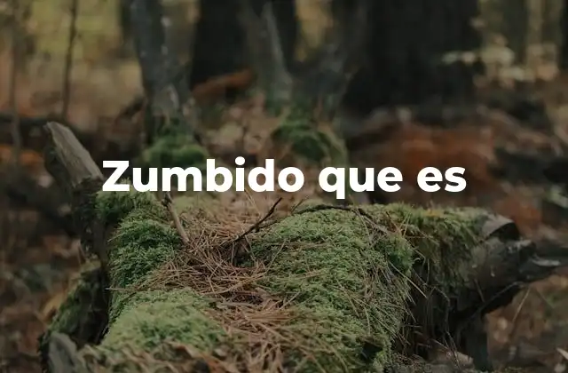 Zumbido que es
