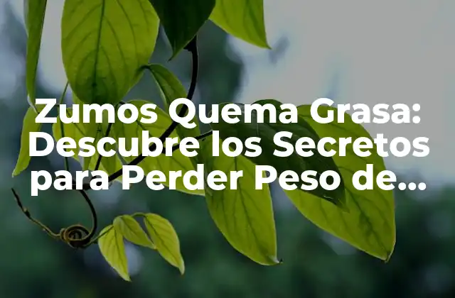 Zumos Quema Grasa: Descubre los Secretos para Perder Peso de Forma Saludable