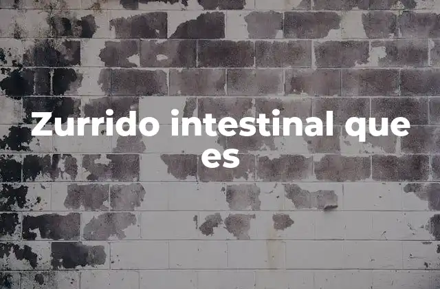 Zurrido Intestinal que es