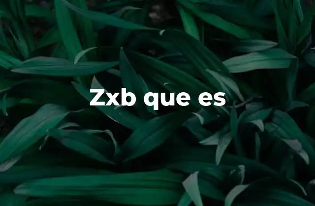 Zxb que es