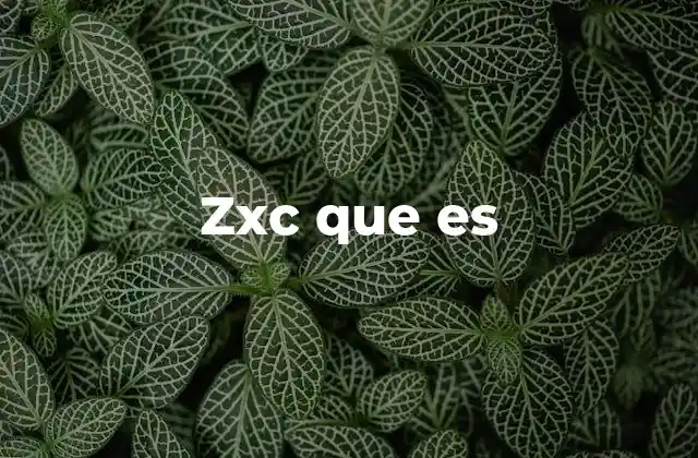 Zxc que es